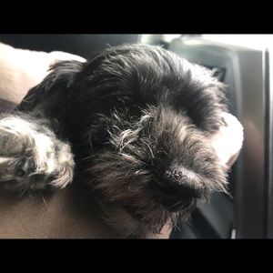 Meet your Posher, Marla